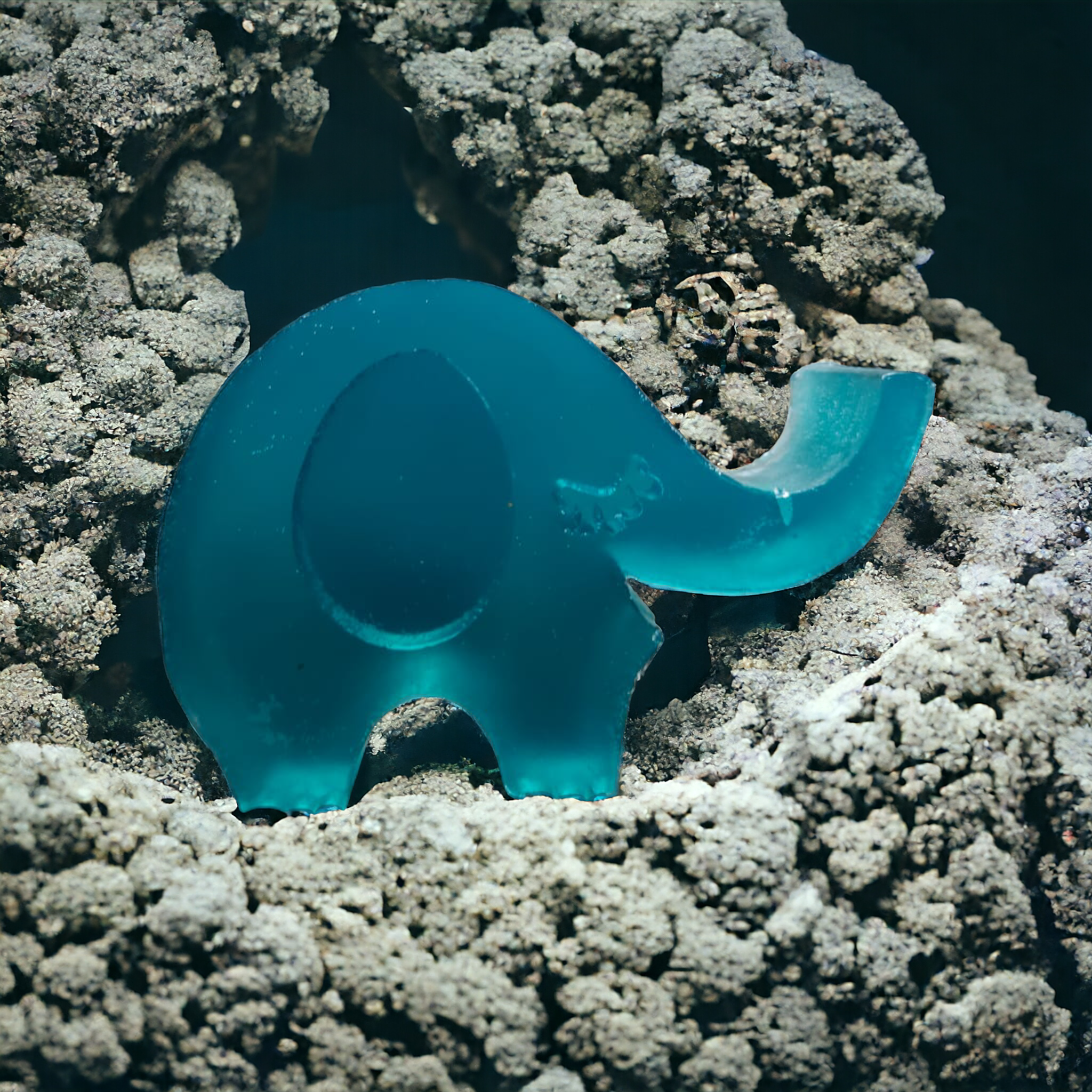 Elephant Soap
